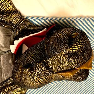 Kids reptilian dinosaur costume